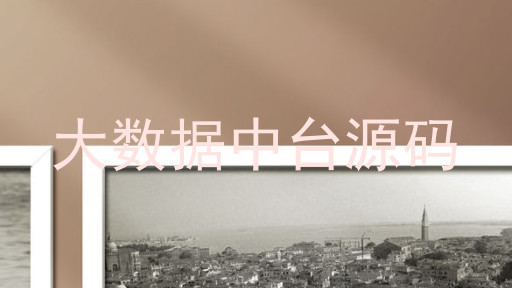 大数据中台源码