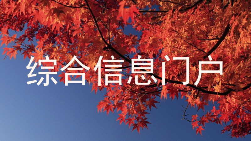 综合信息门户