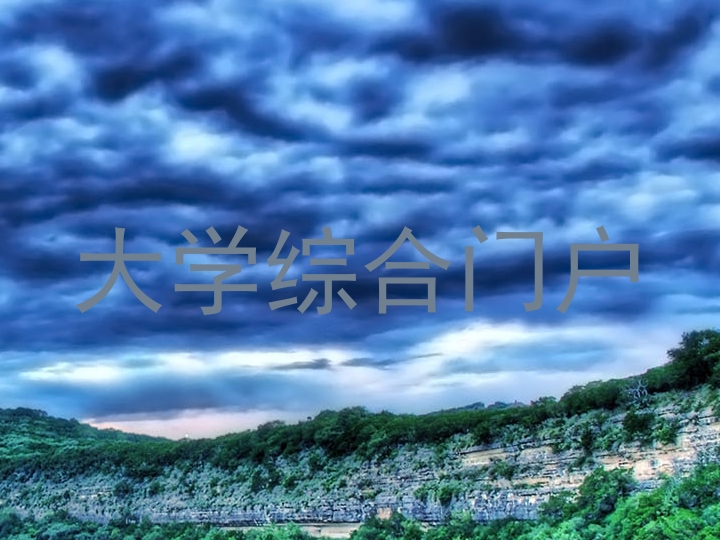 大学综合门户