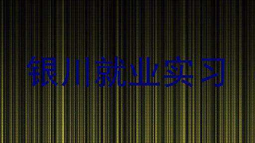 银川就业实习