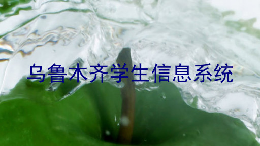 乌鲁木齐学生信息系统