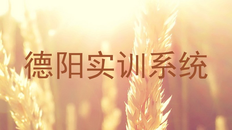 德阳实训系统