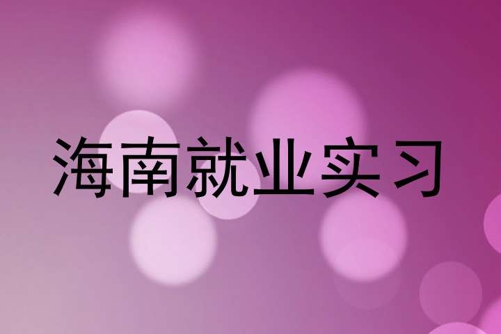 海南就业实习