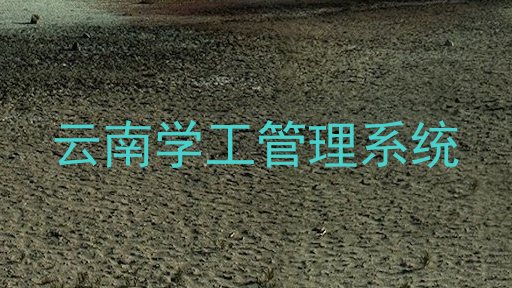 云南学工管理系统