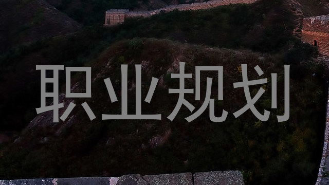 职业规划
