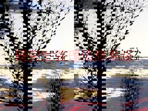 研究生管理信息系统