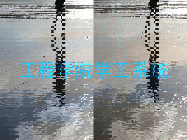 工程学院学工系统