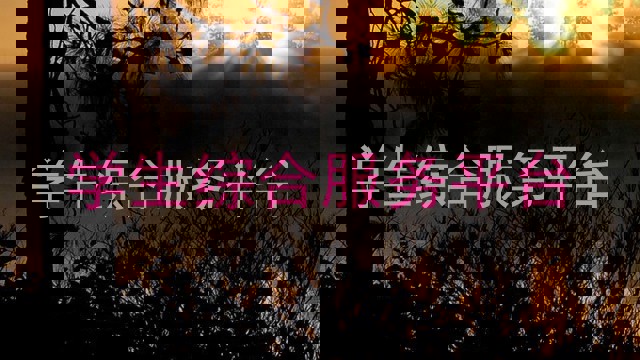 学生综合服务平台
