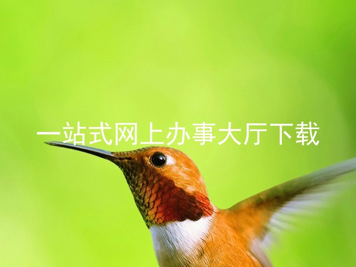 一站式网上办事大厅下载