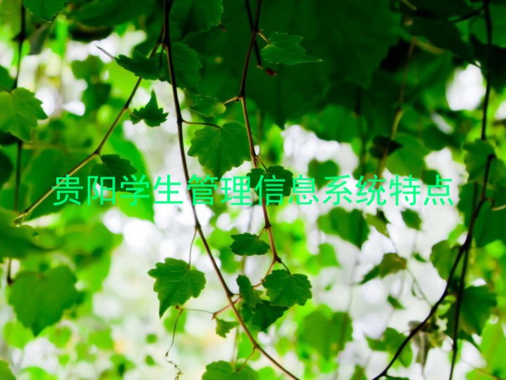 贵阳学生管理信息系统特点