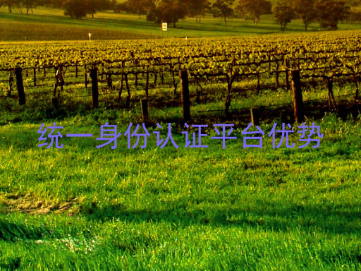 统一身份认证平台优势