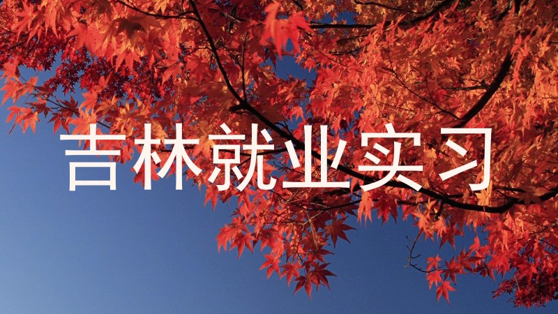 吉林就业实习