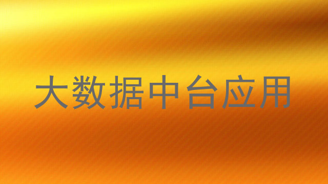 大数据中台应用