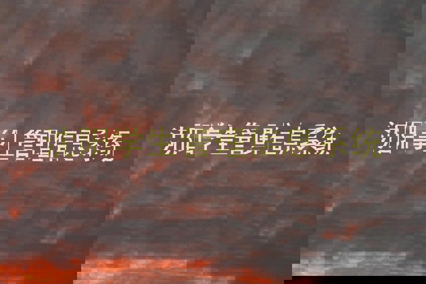 沈阳学生管理信息系统