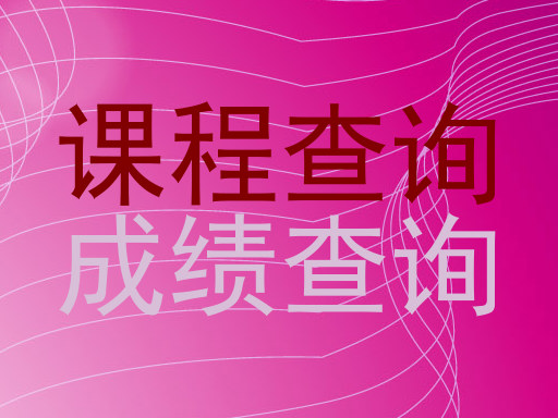 课程查询