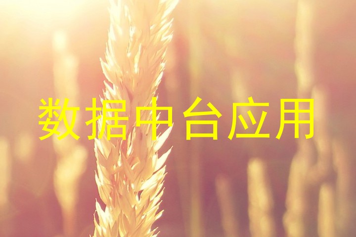 数据中台应用