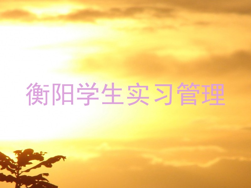 衡阳学生实习管理