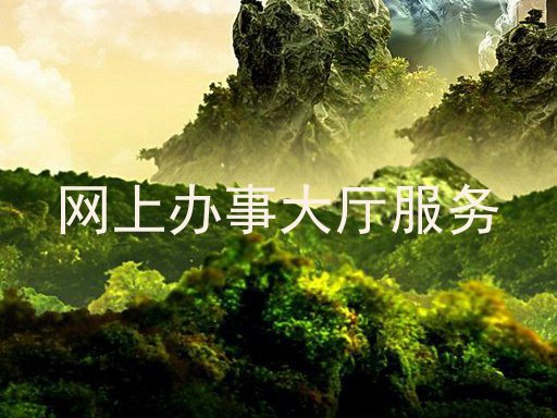 网上办事大厅服务
