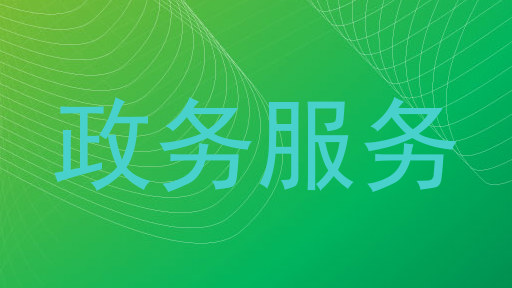 政务服务