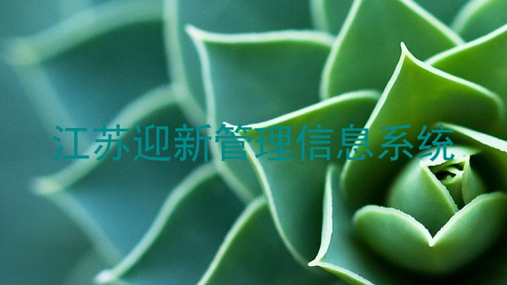 江苏迎新管理信息系统