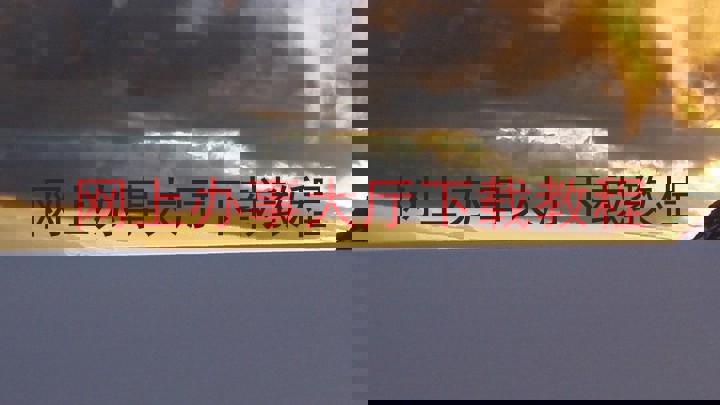 网上办事大厅下载教程