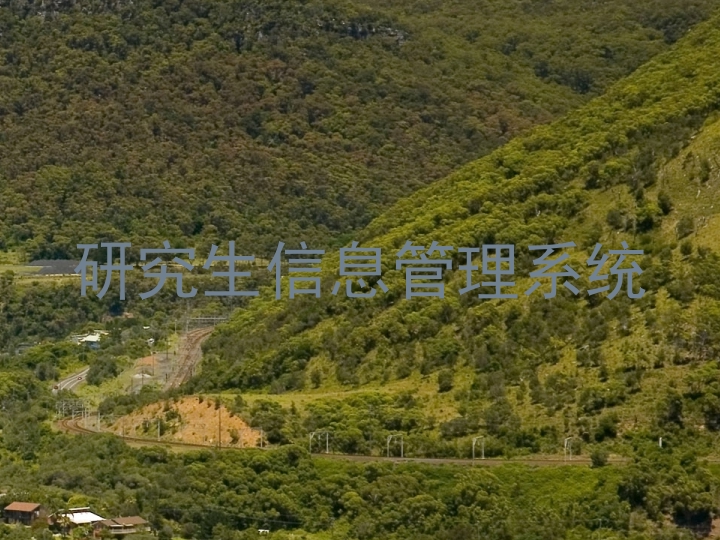 研究生信息管理系统