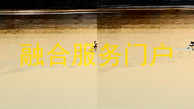 融合服务门户