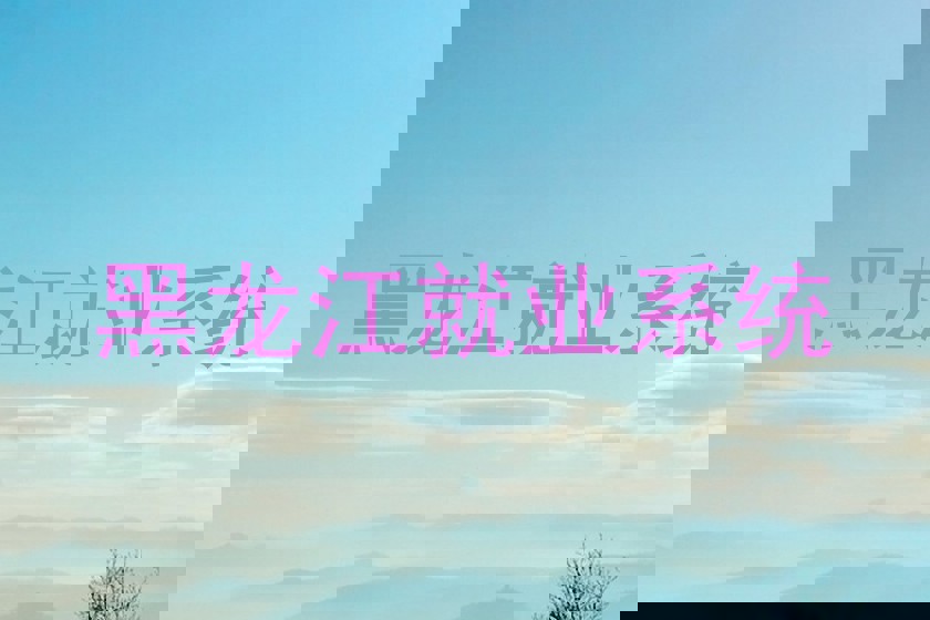 黑龙江就业系统