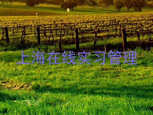 上海在线实习管理