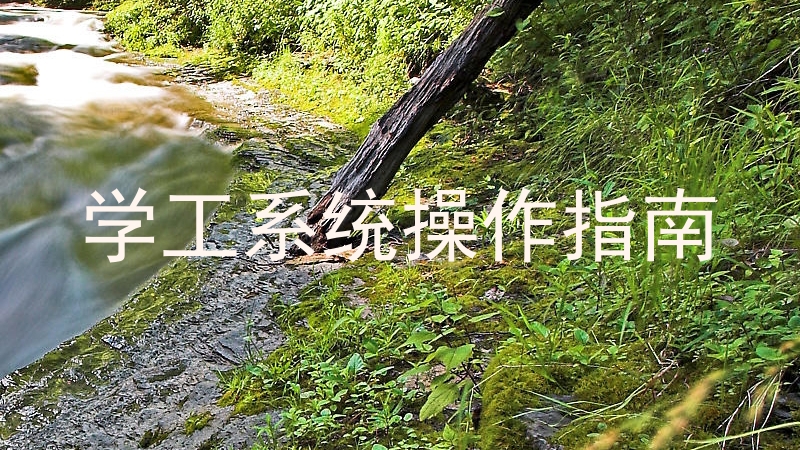 学工系统操作指南