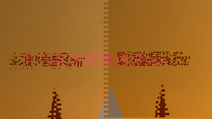 实习就业管理系统App