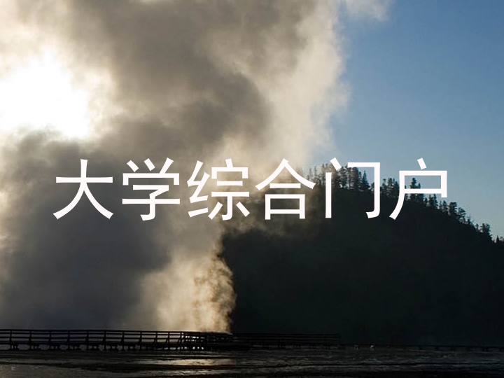 大学综合门户