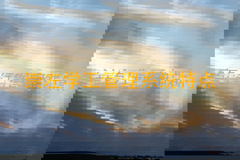 崇左学工管理系统特点