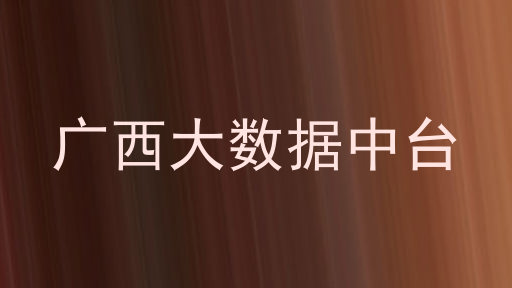 广西大数据中台