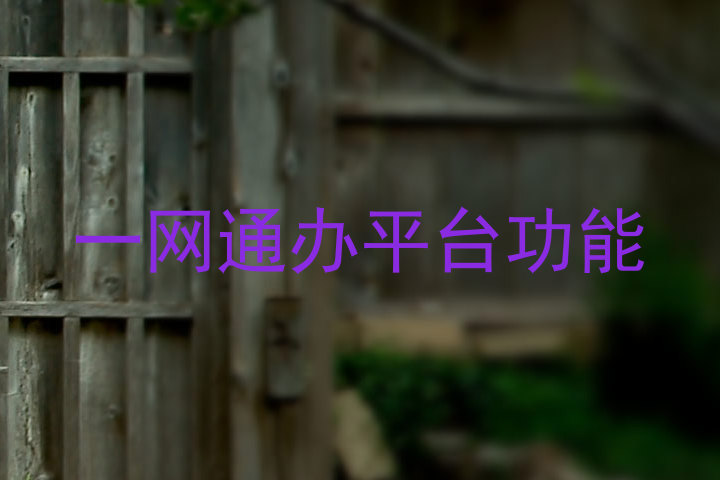 一网通办平台功能