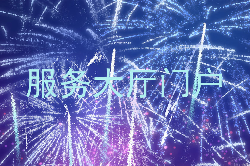 服务大厅门户