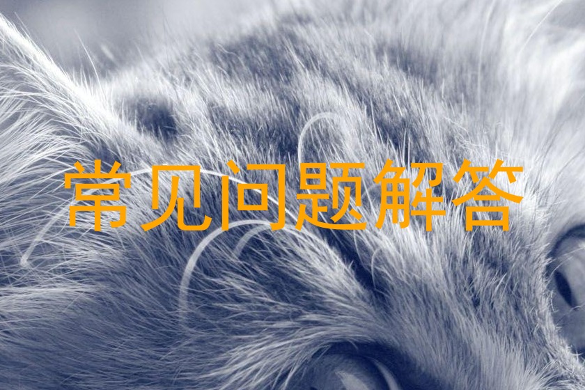 常见问题解答
