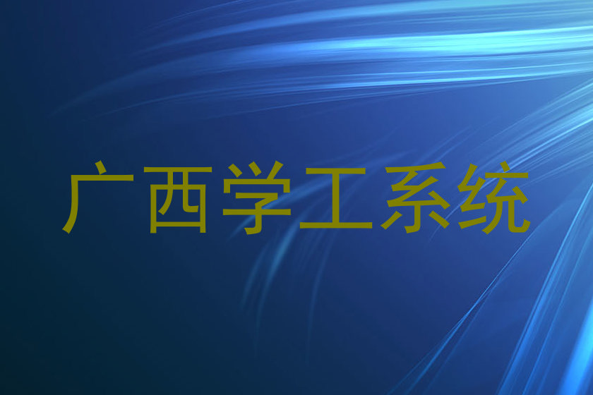 广西学工系统