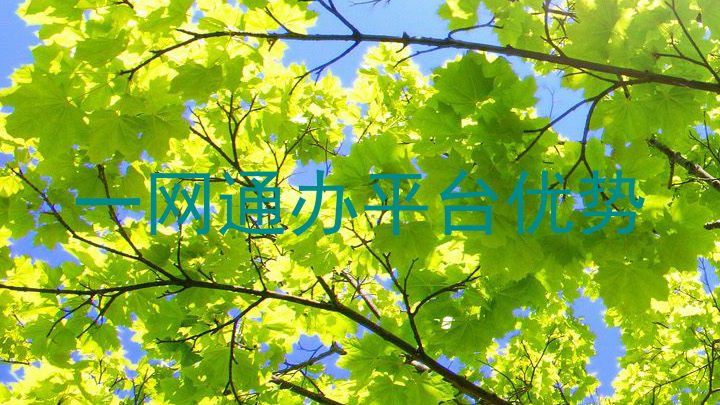 一网通办平台优势