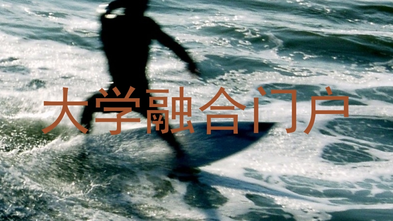 大学融合门户