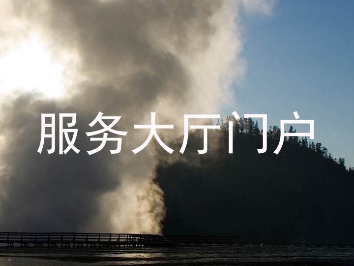 服务大厅门户