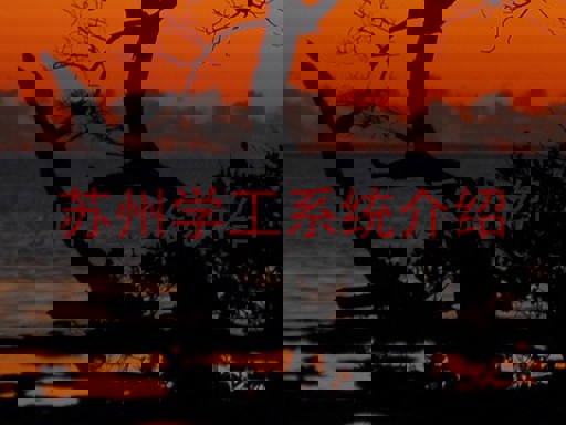 苏州学工系统介绍