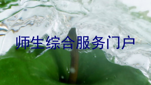 师生综合服务门户