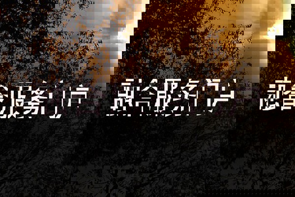 融合服务门户