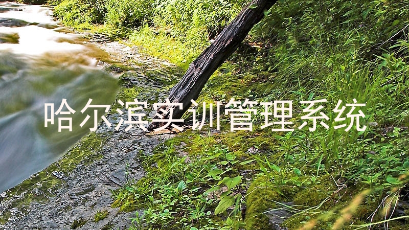 哈尔滨实训管理系统