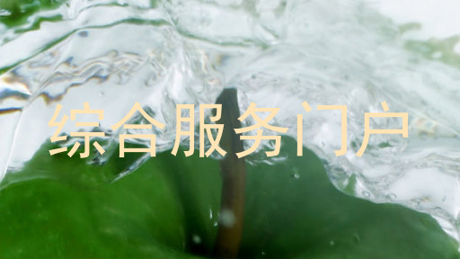 综合服务门户