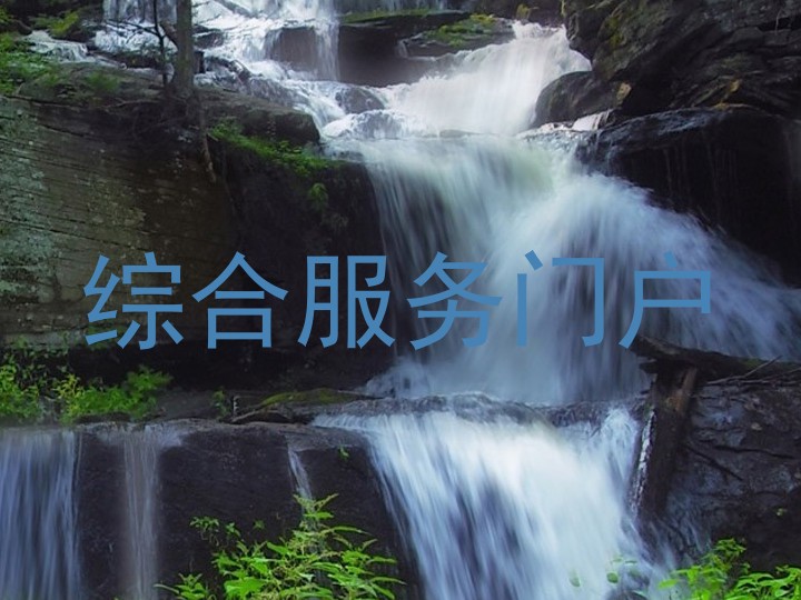 综合服务门户