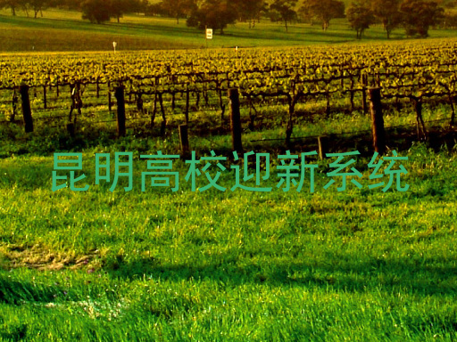 昆明高校迎新系统