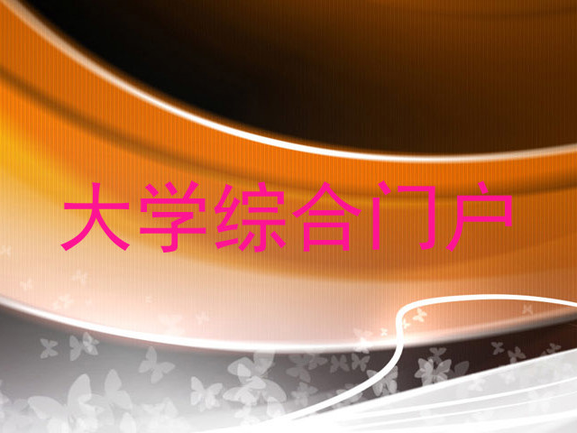 大学综合门户