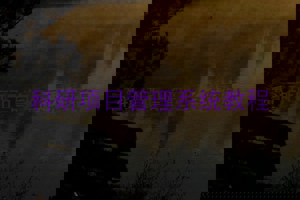 科研项目管理系统教程